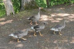 IMG_20230527_124628