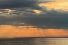 IMG-20230619-WA0005