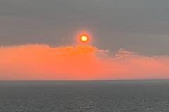 IMG-20230619-WA0012