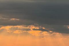 IMG-20230619-WA0015