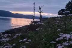 IMG-20230708-WA0000
