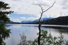 IMG-20230708-WA0002