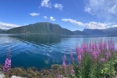 IMG-20230708-WA0012