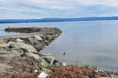 IMG-20230709-WA0012