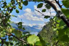 IMG-20230711-WA0010