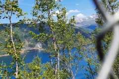 IMG-20230711-WA0011