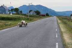 IMG-20230713-WA0022