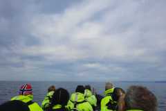IMG-20230713-WA0029
