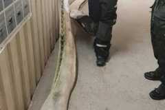 IMG-20230713-WA0034