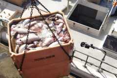 IMG-20230714-WA0004