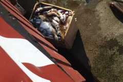 IMG-20230714-WA0005