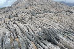 IMG-20230715-WA0003