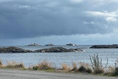 IMG-20230715-WA0004