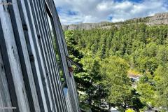IMG-20230801-WA0022